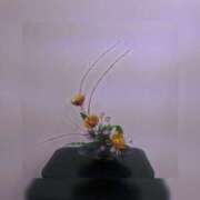 ヒメ日記 2025/11/15 14:15 投稿 つばさ 大阪ミナミ人妻援護会