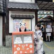 ヒメ日記 2025/08/28 09:47 投稿 つむぎ Tokyo fairy land-東京フェアリーランド-