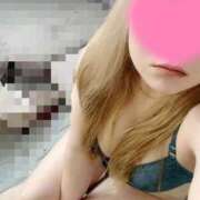 葵（あおい） 急ですが 新潟市鳥屋野潟ちゃんこ