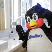 ヒメ日記 2025/03/15 18:38 投稿 紅桃 -くるみ- ダイバーシティ錦糸町 蘭の会