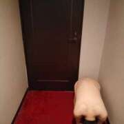 ヒメ日記 2025/10/13 16:47 投稿 Lily(リリィ） 渋谷 ダイアナ