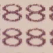 ヒメ日記 2025/12/06 20:20 投稿 かのん 熟女の風俗最終章 相模原店