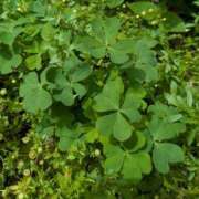 ヒメ日記 2025/04/25 19:01 投稿 かのん 熟女の風俗最終章 町田店