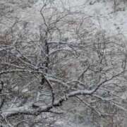 ヒメ日記 2026/02/09 11:20 投稿 かのん 熟女の風俗最終章 町田店