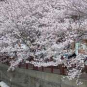 ヒメ日記 2026/03/30 11:20 投稿 かのん 熟女の風俗最終章 町田店