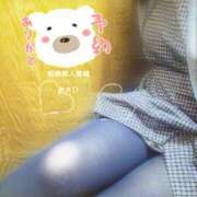 ヒメ日記 2024/12/09 15:42 投稿 朝比(あさひ) 相模原人妻城