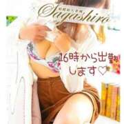 ヒメ日記 2025/01/25 10:00 投稿 朝比(あさひ) 相模原人妻城