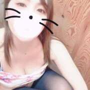 ヒメ日記 2025/02/12 23:48 投稿 朝比(あさひ) 相模原人妻城