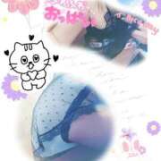 ヒメ日記 2025/03/22 22:18 投稿 朝比(あさひ) 相模原人妻城