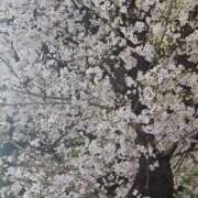 ヒメ日記 2025/03/31 21:33 投稿 朝比(あさひ) 相模原人妻城