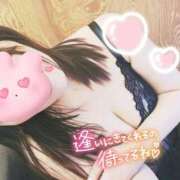 ヒメ日記 2025/04/10 08:48 投稿 朝比(あさひ) 相模原人妻城