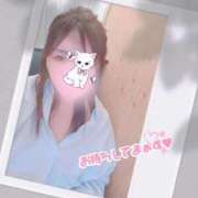 ヒメ日記 2025/04/16 14:33 投稿 朝比(あさひ) 相模原人妻城