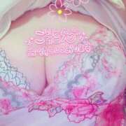 ヒメ日記 2025/04/17 13:33 投稿 朝比(あさひ) 相模原人妻城