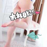 ヒメ日記 2025/04/18 06:42 投稿 朝比(あさひ) 相模原人妻城