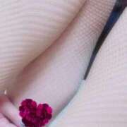 ヒメ日記 2025/07/15 08:21 投稿 朝比(あさひ) 相模原人妻城