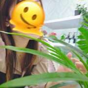 ヒメ日記 2025/11/08 20:18 投稿 朝比(あさひ) 相模原人妻城