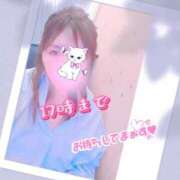 ヒメ日記 2025/11/13 16:33 投稿 朝比(あさひ) 相模原人妻城