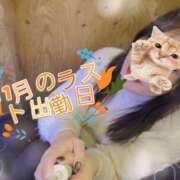 ヒメ日記 2025/11/26 21:48 投稿 朝比(あさひ) 相模原人妻城