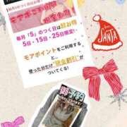 ヒメ日記 2025/12/02 22:03 投稿 朝比(あさひ) 相模原人妻城