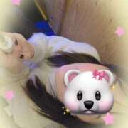 ヒメ日記 2025/12/08 12:48 投稿 朝比(あさひ) 相模原人妻城