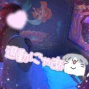 ヒメ日記 2025/12/28 22:03 投稿 朝比(あさひ) 相模原人妻城