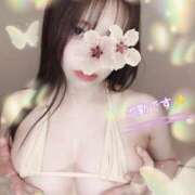 ヒメ日記 2024/12/10 18:23 投稿 はるか ごほうびSPA福岡店