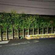 ヒメ日記 2025/03/30 19:34 投稿 さや 奥様特急　上野・鶯谷店