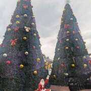 ヒメ日記 2024/12/22 11:36 投稿 丸 鶯谷デッドボール