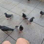 ヒメ日記 2025/04/14 17:31 投稿 丸 鶯谷デッドボール