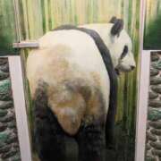 ヒメ日記 2025/08/23 20:19 投稿 丸 鶯谷デッドボール