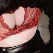 ヒメ日記 2025/11/07 00:19 投稿 丸 鶯谷デッドボール