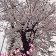 ヒメ日記 2025/04/05 09:31 投稿 さとみ 奥様はエンジェル　立川店