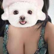 ヒメ日記 2025/03/21 07:57 投稿 りりこ 秋葉原コスプレ学園in仙台