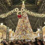 ヒメ日記 2024/12/28 16:29 投稿 青葉(アオバ) グランドオペラ名古屋