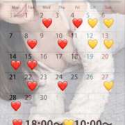 ヒメ日記 2025/04/01 11:01 投稿 蒼井（アオイ） アバンチュール(五反田)