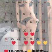 ヒメ日記 2025/11/20 10:01 投稿 蒼井（アオイ） アバンチュール(五反田)