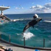 ヒメ日記 2026/03/11 15:01 投稿 蒼井（アオイ） アバンチュール(五反田)