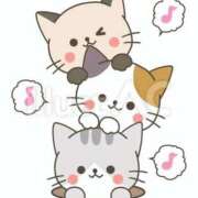 ヒメ日記 2024/12/14 11:19 投稿 菊川(きくかわ)奥様 金沢の20代30代40代50代が集う人妻倶楽部