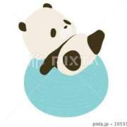 ヒメ日記 2024/12/15 20:15 投稿 菊川(きくかわ)奥様 金沢の20代30代40代50代が集う人妻倶楽部