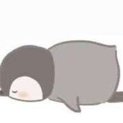 ヒメ日記 2024/12/16 14:18 投稿 菊川(きくかわ)奥様 金沢の20代30代40代50代が集う人妻倶楽部