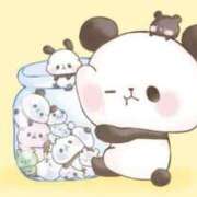 ヒメ日記 2024/12/17 11:18 投稿 菊川(きくかわ)奥様 金沢の20代30代40代50代が集う人妻倶楽部