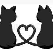 ヒメ日記 2024/12/19 09:36 投稿 菊川(きくかわ)奥様 金沢の20代30代40代50代が集う人妻倶楽部