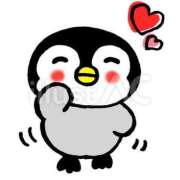 ヒメ日記 2024/12/19 13:36 投稿 菊川(きくかわ)奥様 金沢の20代30代40代50代が集う人妻倶楽部