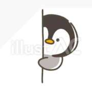 ヒメ日記 2024/12/20 11:36 投稿 菊川(きくかわ)奥様 金沢の20代30代40代50代が集う人妻倶楽部