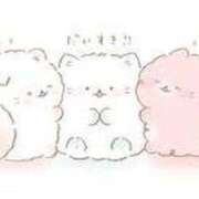 ヒメ日記 2024/12/20 15:42 投稿 菊川(きくかわ)奥様 金沢の20代30代40代50代が集う人妻倶楽部