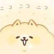 ヒメ日記 2025/01/29 00:00 投稿 菊川(きくかわ)奥様 金沢の20代30代40代50代が集う人妻倶楽部