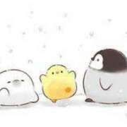 ヒメ日記 2025/01/29 00:45 投稿 菊川(きくかわ)奥様 金沢の20代30代40代50代が集う人妻倶楽部