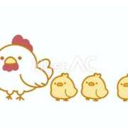 ヒメ日記 2025/02/01 12:36 投稿 菊川(きくかわ)奥様 金沢の20代30代40代50代が集う人妻倶楽部