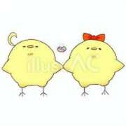 ヒメ日記 2025/02/02 16:07 投稿 菊川(きくかわ)奥様 金沢の20代30代40代50代が集う人妻倶楽部