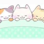 ヒメ日記 2025/02/04 00:48 投稿 菊川(きくかわ)奥様 金沢の20代30代40代50代が集う人妻倶楽部